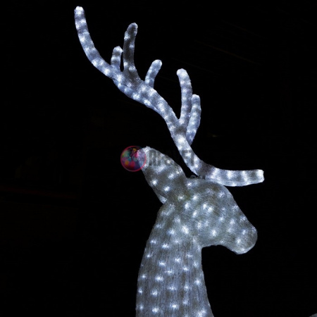 Пара благородных оленей (белый)