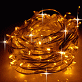 Гирлянда Клип Лайт, 30м с трансформатором