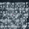 Световой дождь (LED Плей Лайт), 2*9м, белый