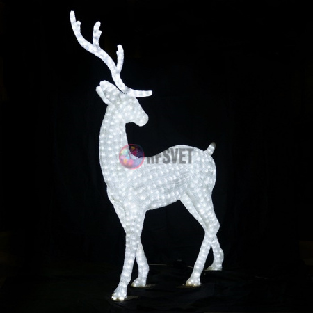 Пара благородных оленей (белый)