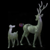 Пара благородных оленей (белый)