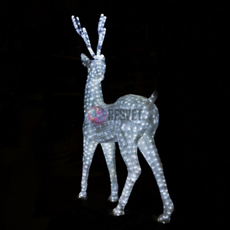 Пара благородных оленей (белый)