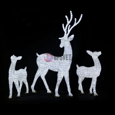 Пара благородных оленей (белый)