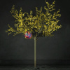 Световое дерево «Сакура», диаметр 2.0 м, высота 2.5 м, 1728 лепестков, желтое