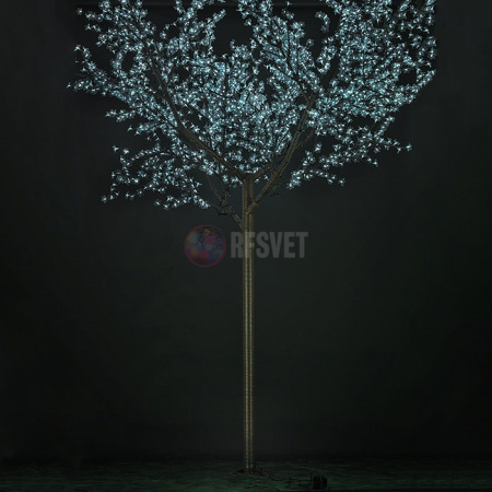 Световое дерево «Сакура», диаметр 3,0 м, высота 3,6 м, 2688 лепестка, теплое белое